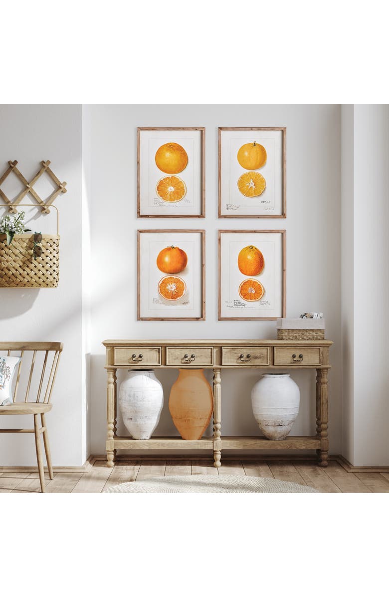 Napa Home & Garden Citrus Study Framed Wall Art Set of 4, Alternate, color, Yellow