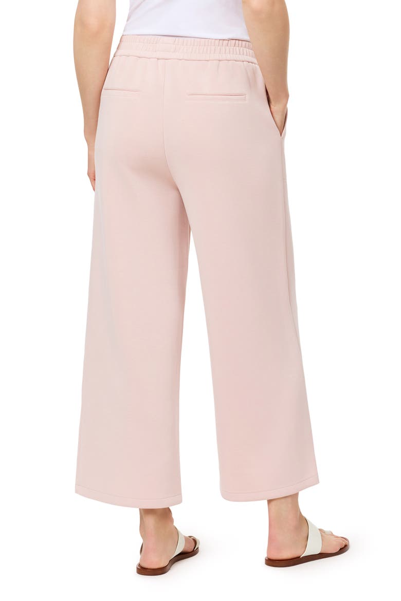 Crop Wide Leg Pants, Alternate, color, ROSE SMOKE