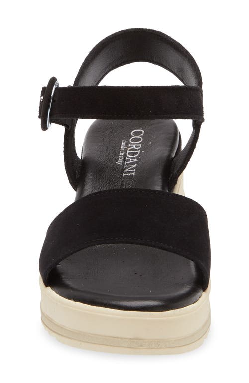 Cordani Arielle Ankle Strap Platform Wedge Sandal In Black Suede