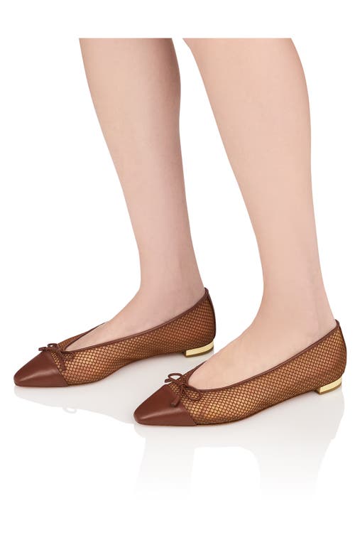 Aquazzura Gioia Mesh And Leather Ballet Flats