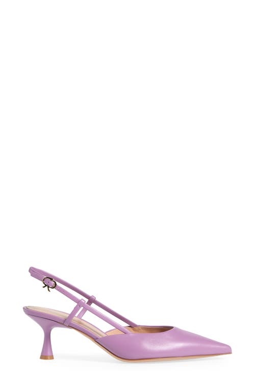 Gianvito Rossi Ascent Pointed Toe Kitten Heel Slingback Pump In Melrose