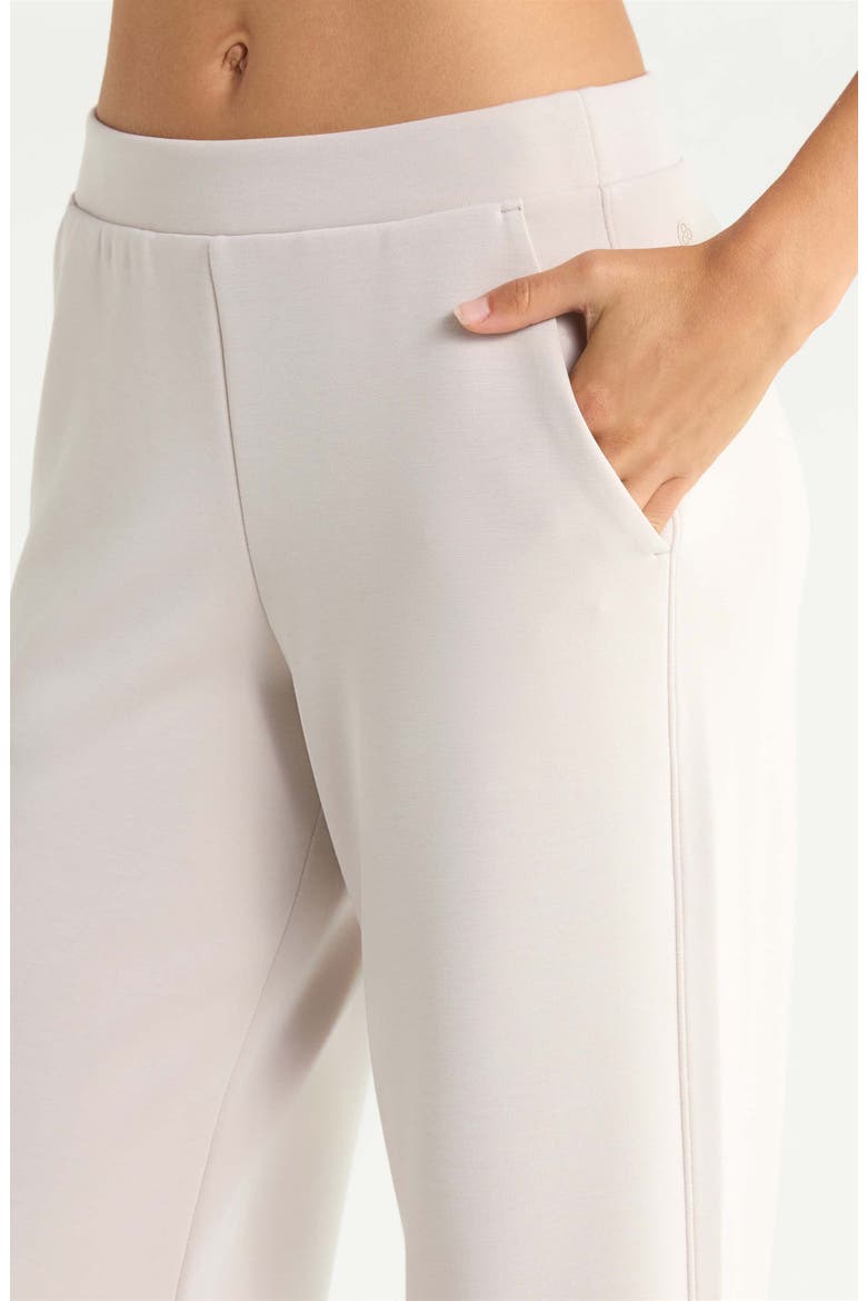 Soft Luxe Ankle Pants, Alternate, color, GREY PEBBLE