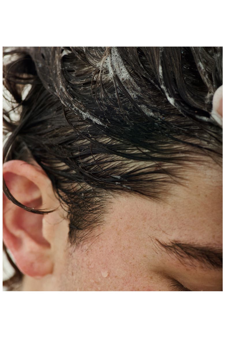 Hinoki Cypress Shampoo, Alternate, color, NO COLOR