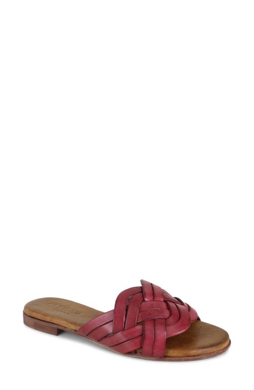 Artisan Crafted By Zigi Arutzy Slide Sandal In Multi