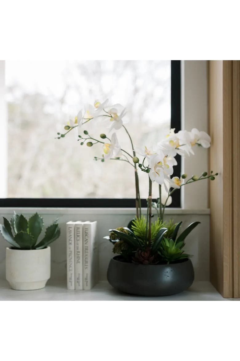 Artificial Orchid with Succulents, Alternate, color, White, green, grey