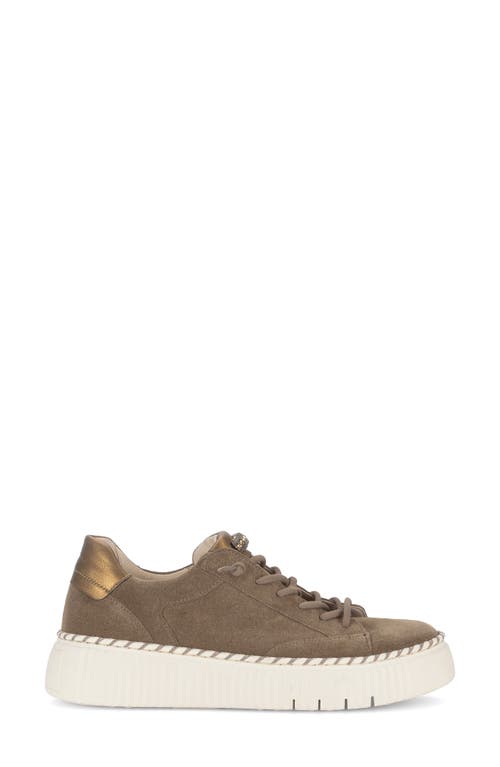 Gabor Platform Sneaker In Brown