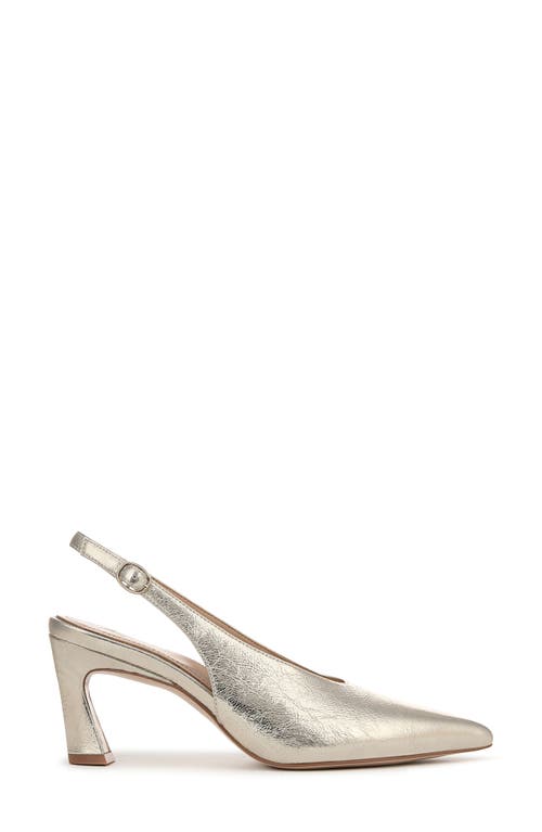 27 Edit Naturalizer Elaine Slingback Pointed Toe Pump In Champagne
