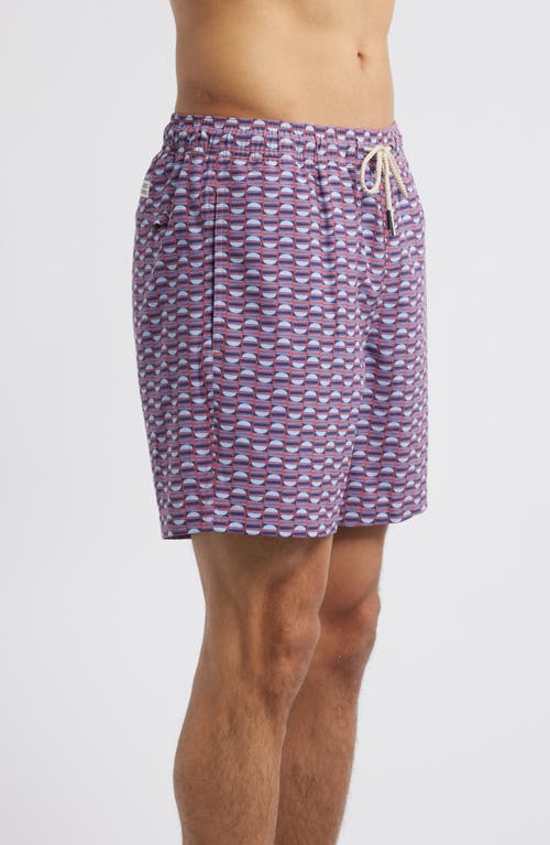 Fair Harbor Bayberry Trunks 7 Red Boardwalk Tiles In Purple