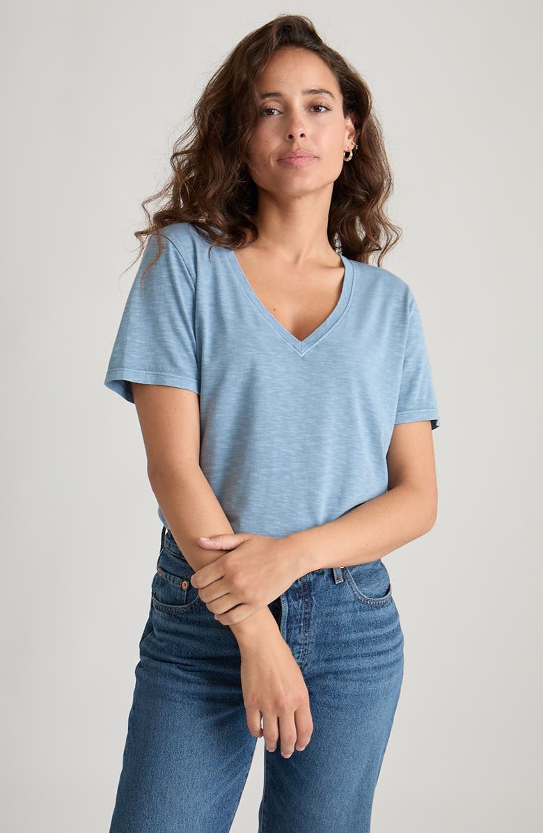 Marine Layer V-Neck Slub T-Shirt, Alternate, color, Coronet Blue