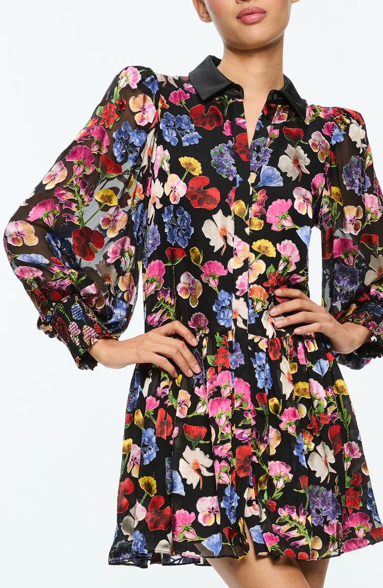 Alice + Olivia Bertha Floral Long Sleeve Mini Shirtdress, Alternate, color, 