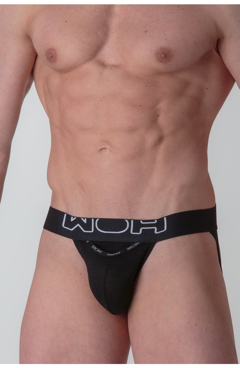WOH Sexy Fun Jockstrap, Alternate, color, Black
