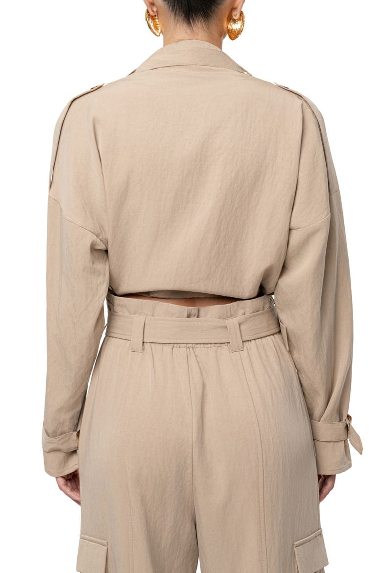 Wanderlust Long Sleeve Crop Top, Alternate, color, BEIGE