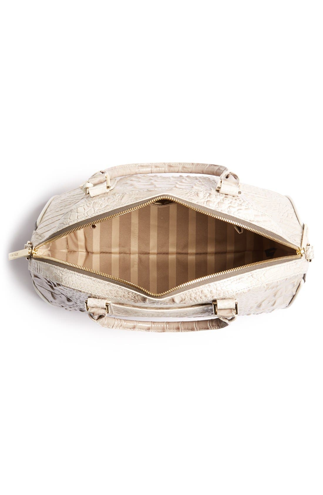 Brahmin , Alternate, color, 