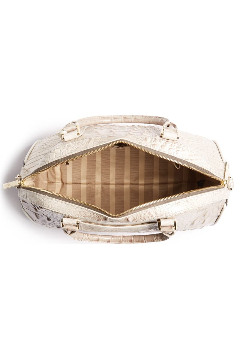 Brahmin , Alternate, color,