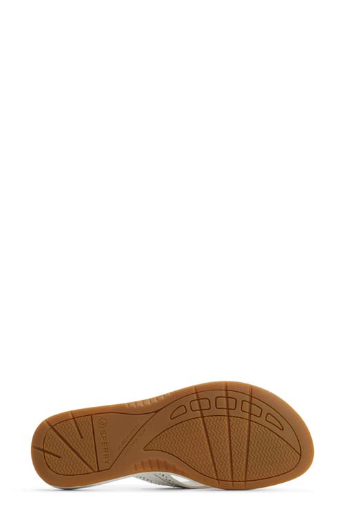 SPERRY SPERRY SEAFISH 3 PERFORATED FLIP FLOP