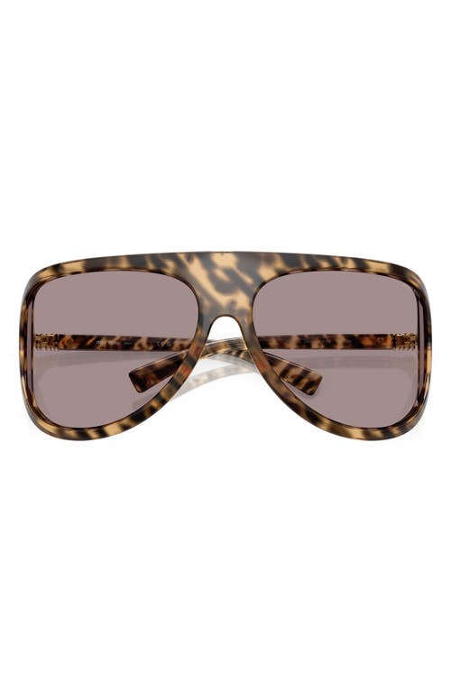 Miu Miu 75mm Oversize Shield Sunglasses In Brown
