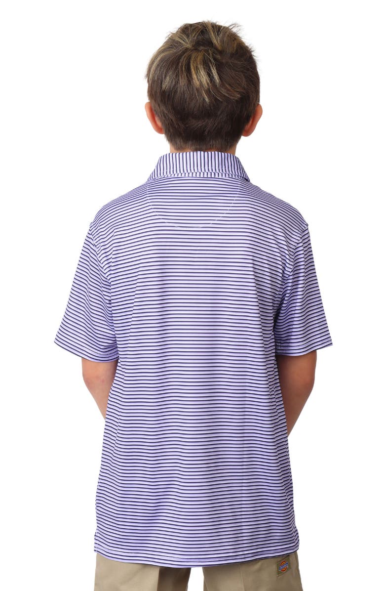 TailorByrd Kids' Stripe Print Performance Knit Polo, Alternate, color, Purple