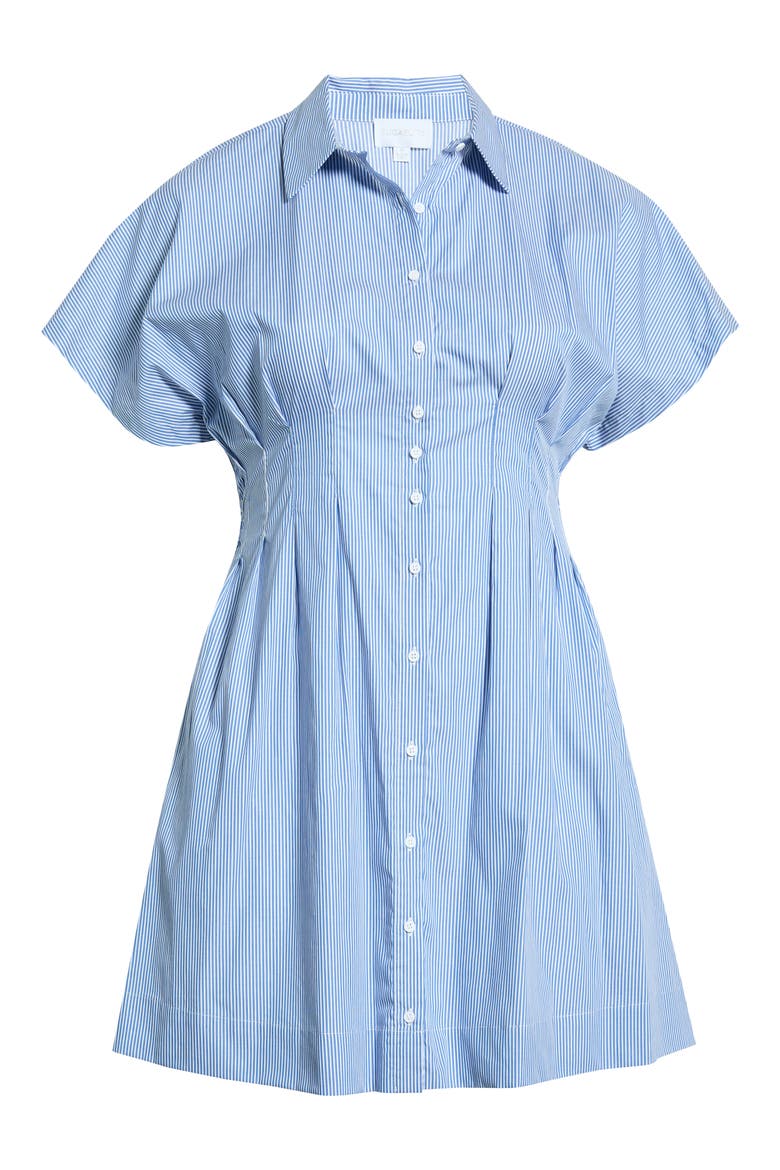 Pleated Dolman Sleeve Cotton Minidress, Alternate, color, BLUE-WHITE