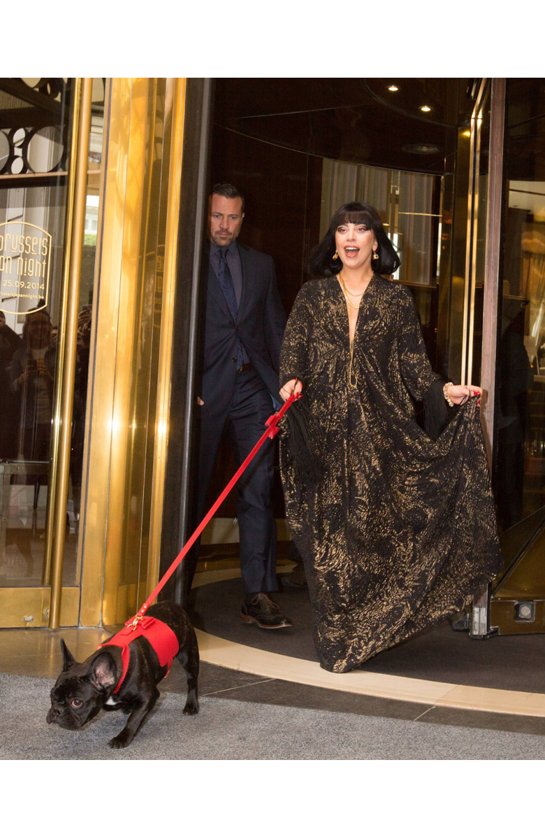 Moshiqa Bisou Dog Leash, Alternate, color, Red