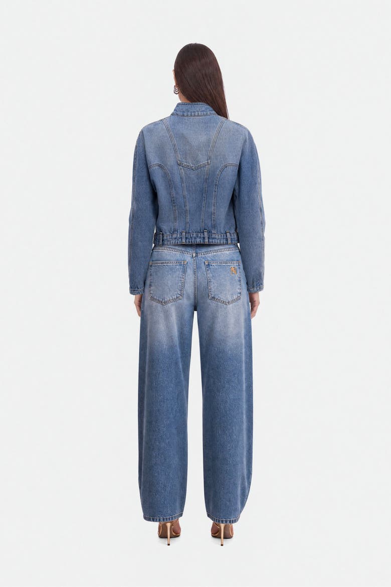 Stand Collar Denim Jacket, Alternate, color, Blue