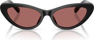 Polo Ralph Lauren 54mm Cat Eye Sunglasses