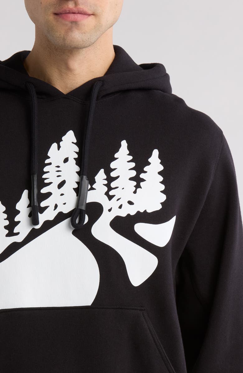 RC Outdoor Supply Mountain Trail Cotton Graphic Hoodie, Alternate, color, 