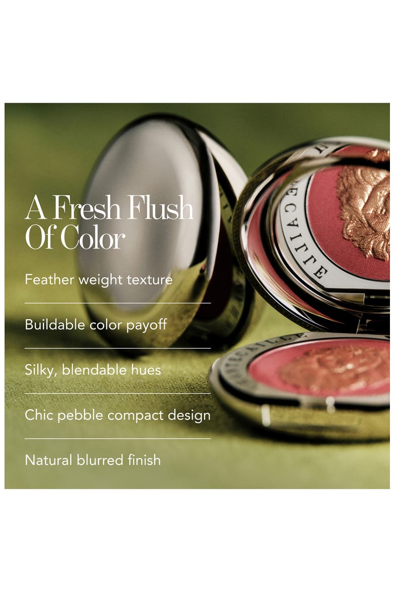 Cheek Shade Blush, Alternate, color, LION