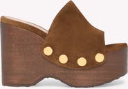 Gianvito Rossi Ardèa Mules