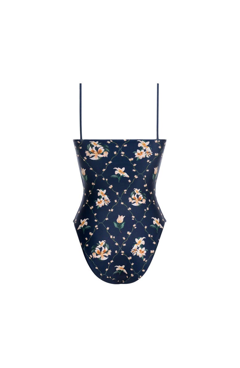 Agua by Agua Bendita Ebano Promesa One Piece, Alternate, color, Multicolor