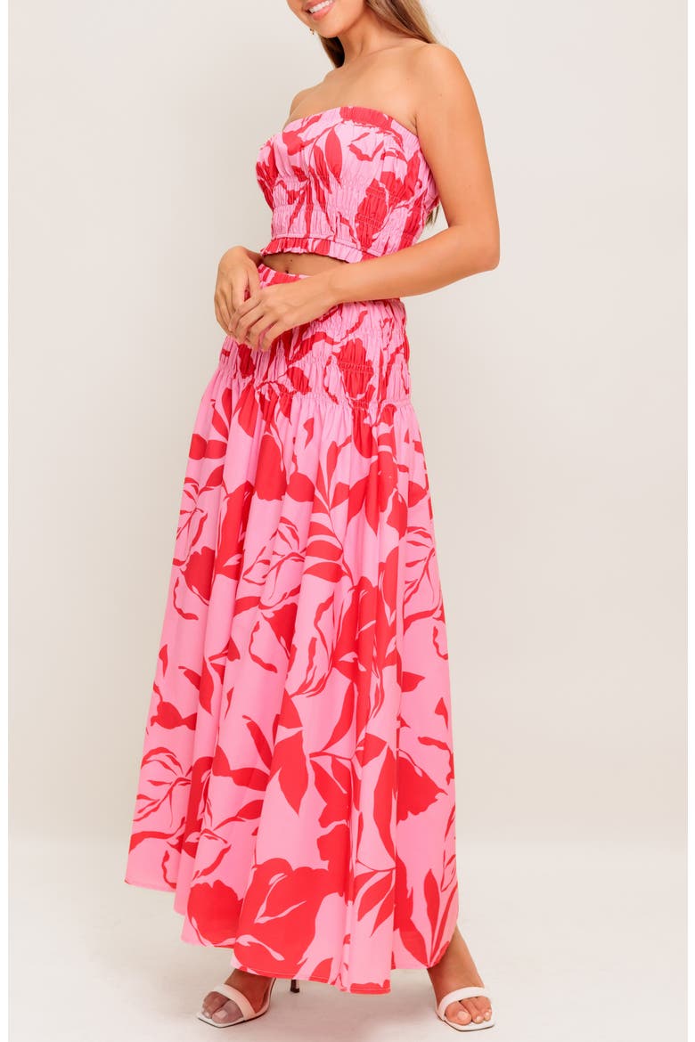 Print Tube Top & Maxi Skirt Set, Alternate, color, PINK RED