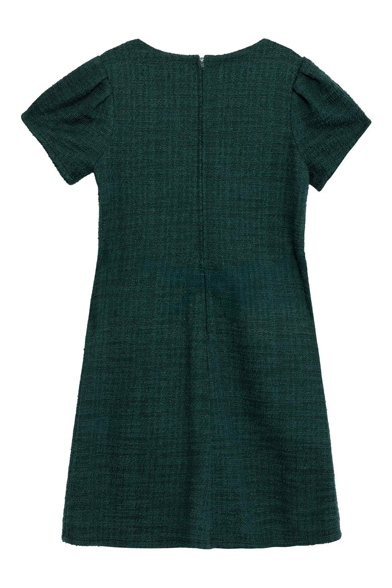 Kids' Rope Trim Dress, Alternate, color, HUNTER