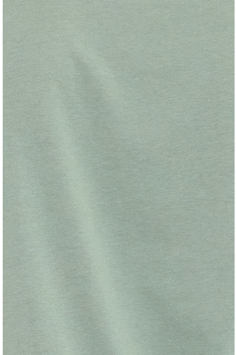 Soft Wash Mountain Range Graphic T-Shirt, Alternate, color, WASABI
