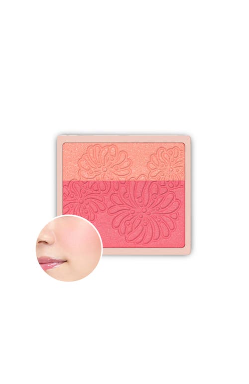 PAUL & JOE PAUL & JOE PRESSED BLUSH