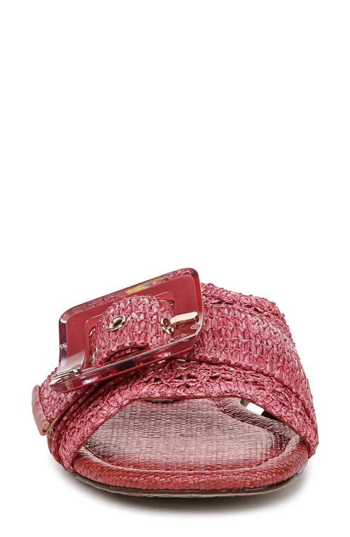SAM EDELMAN SAM EDELMAN BAMBI RAFFIA BUCKLE SLIDE SANDAL