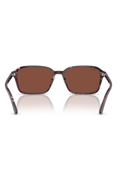 Ray Ban Ray-ban 58mm Square Sunglasses In Red