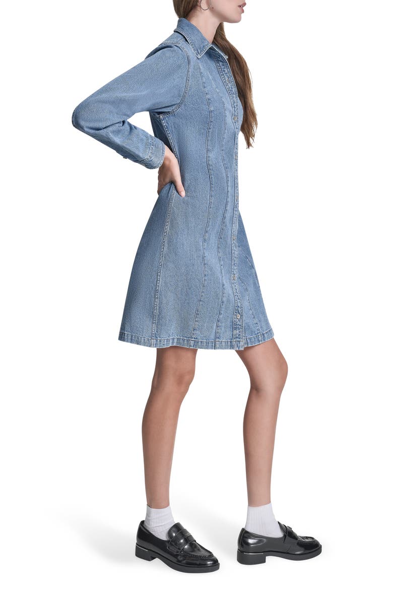 Seamed A-Line Dress, Alternate, color, HARMONY