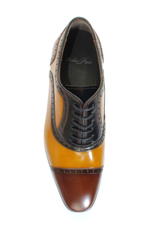 Vellapais Maine Colorblocked Oxford In Brown