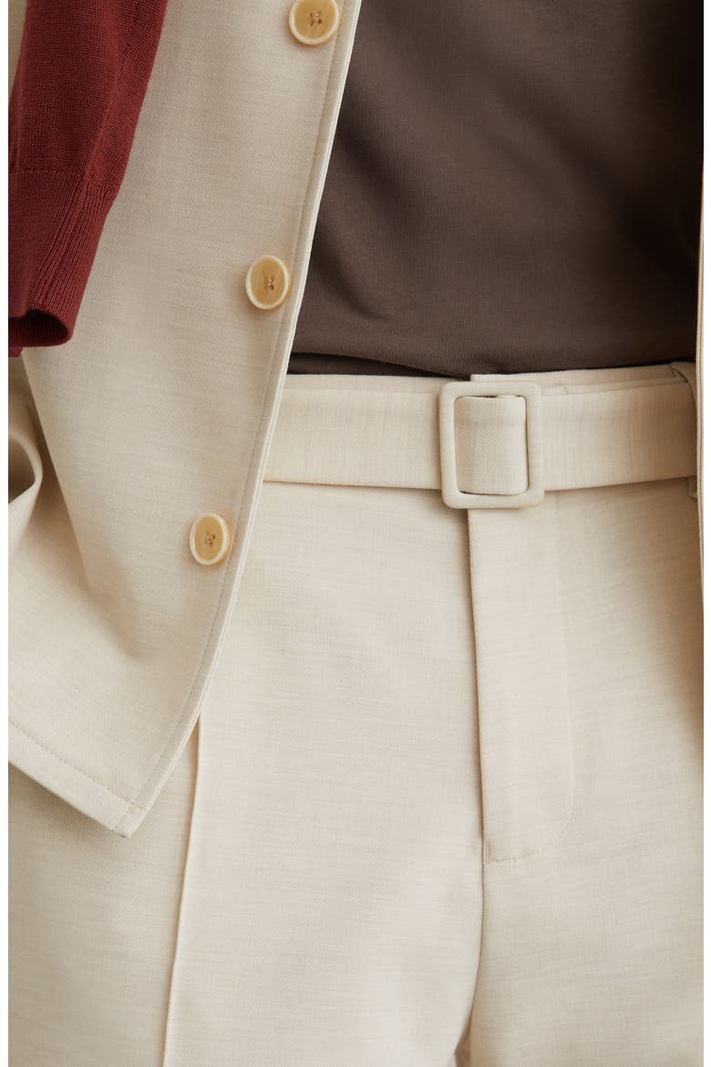 Peshi Belted Trousers, Alternate, color, STONE