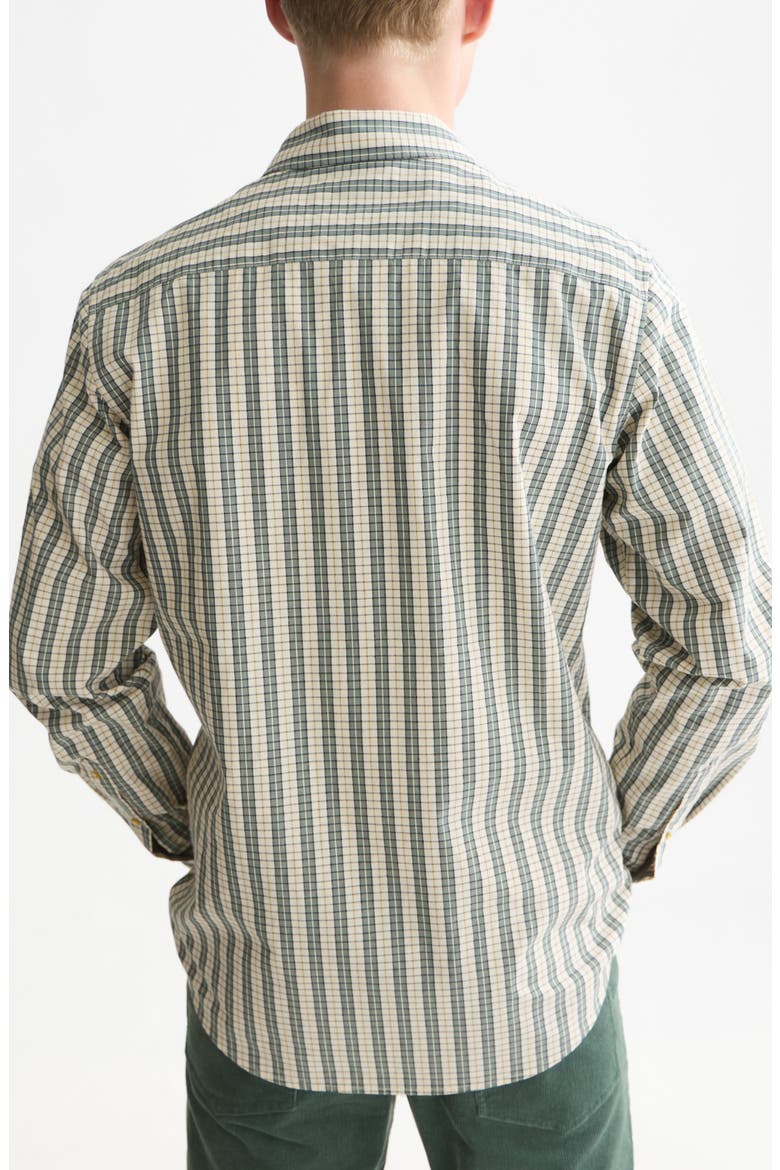 Regular Fit Check Stripe Button-Up Shirt, Alternate, color, DARK FOREST STRIPE