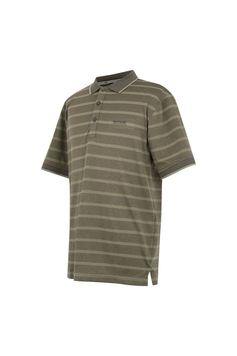 Kildra Polo Shirt, Alternate, color, Light Sage and Dark Khaki