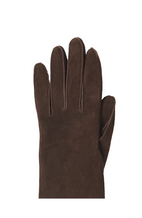 Lanvin Long Slim Suede Gloves In Brown