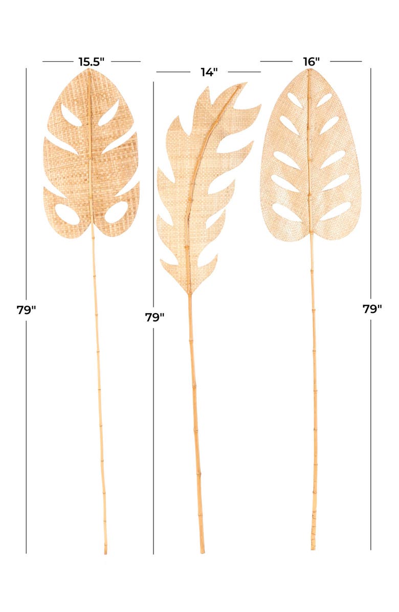 SONOMA SAGE HOME 3-Piece Natural Dried Bamboo Leaf Foliage, Alternate, color, Light Brown