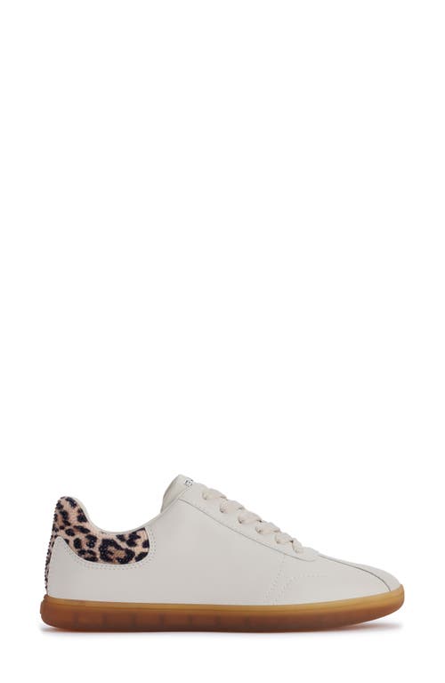 Dkny Seacliff Sneaker In Khaki Multi