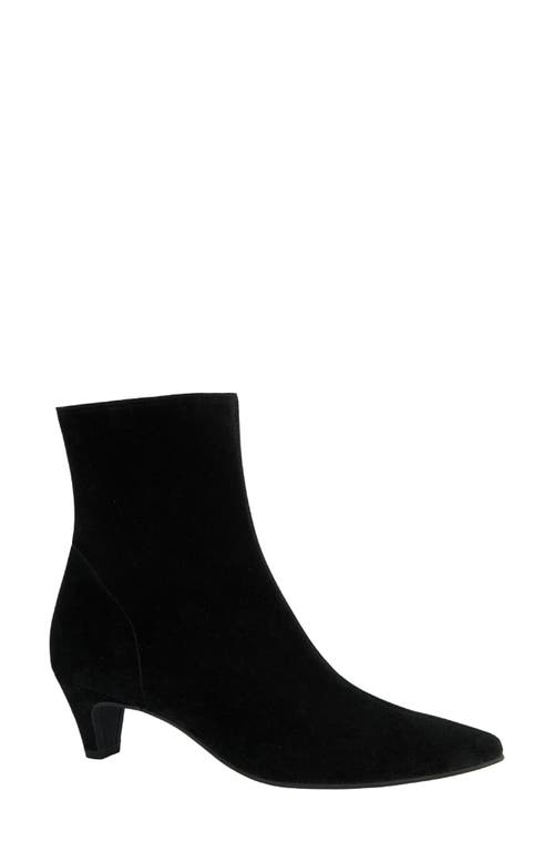 Paul Green Ciara Pointed Toe Kitten Heel Bootie In Black