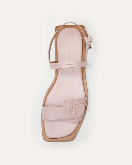 Shop Want Les Essentiels De La Vie Want Les Essentiels Holton Smooth Leather Flat Sandal In Blush