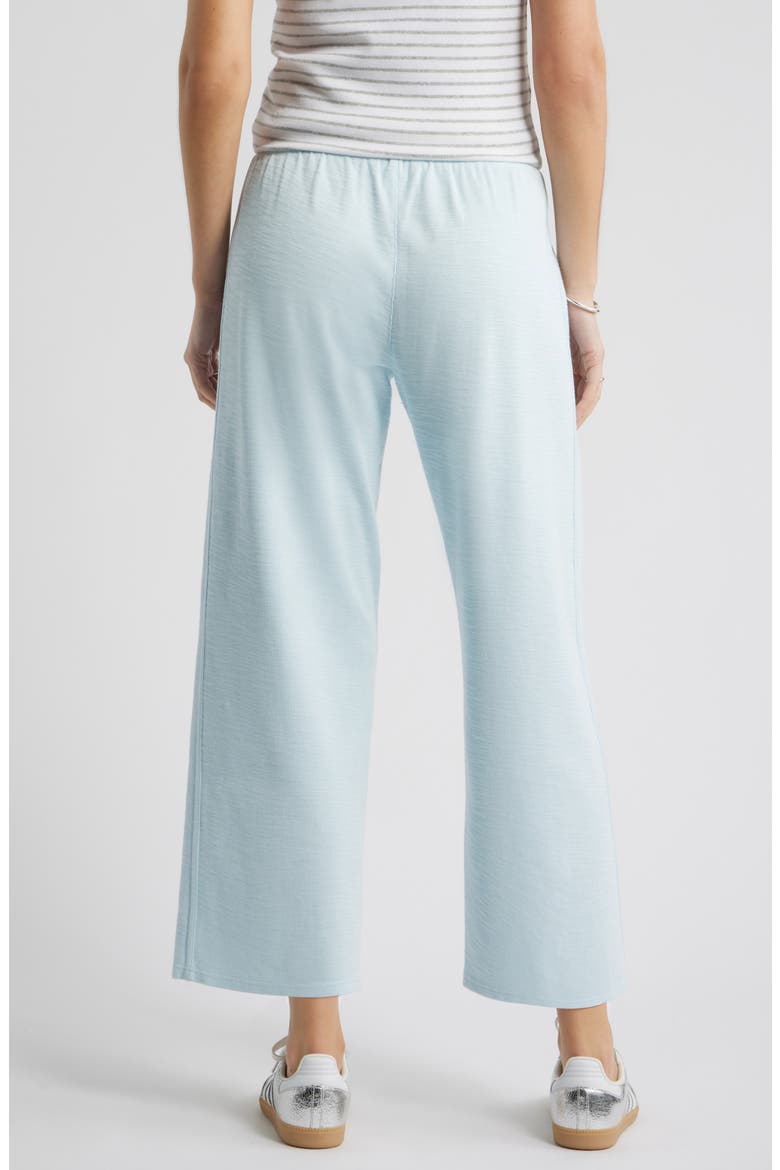 Ankle Wide Leg Travel Pants, Alternate, color, BLUE DELICATE