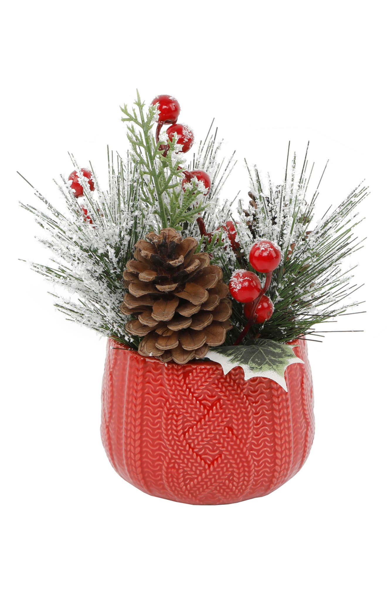 FLORA BUNDA Christmas Mix in Red Sweater Planter