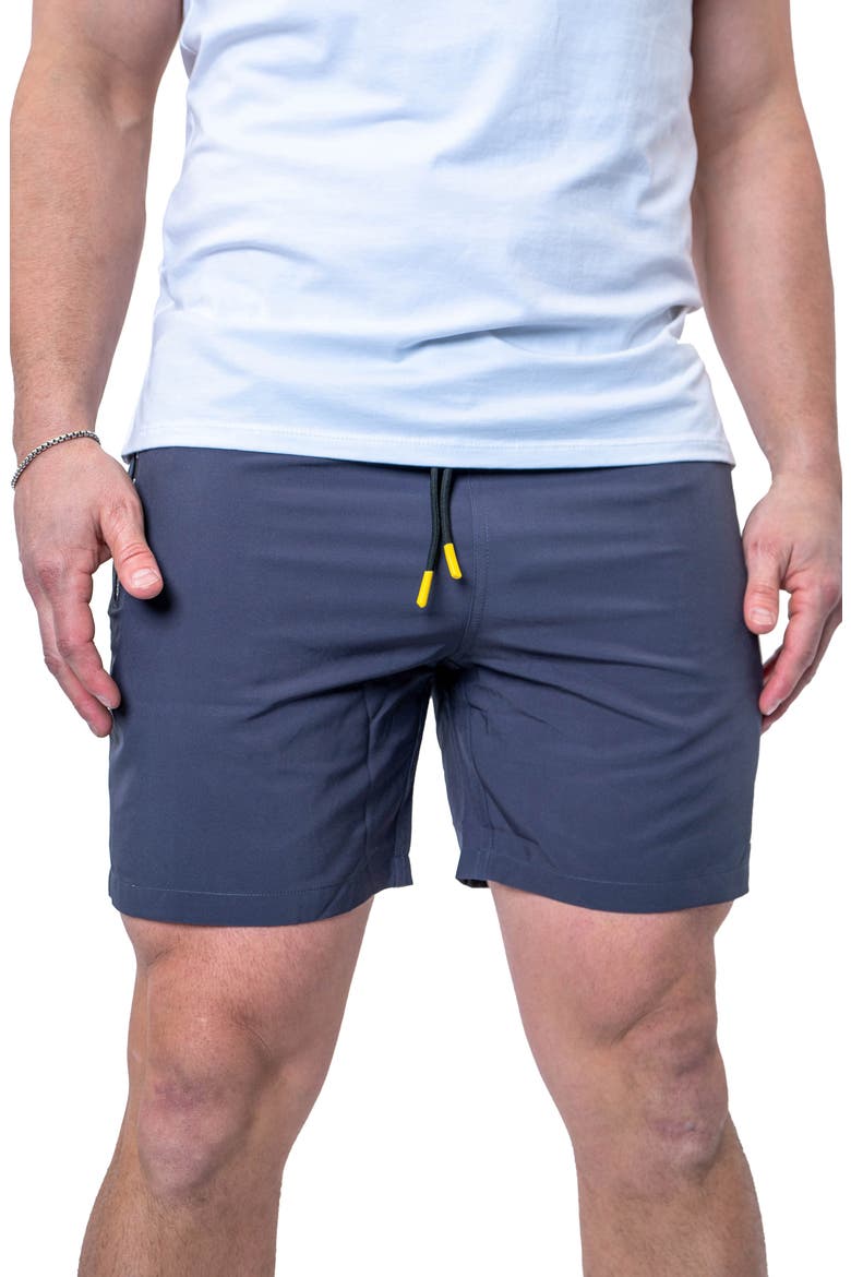 Lion Swim Trunks, Main, color, GREY