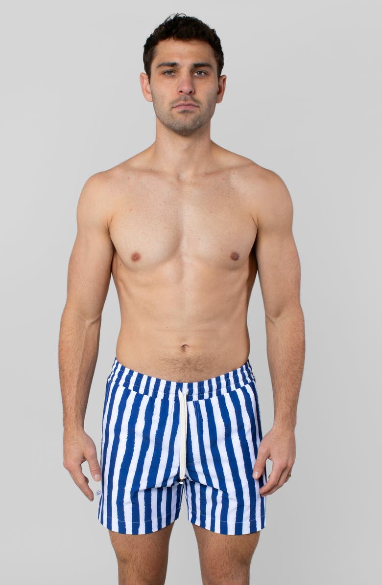 LEISURE LAB Blue Wake Swim Trunk, Alternate, color, Blue Wake