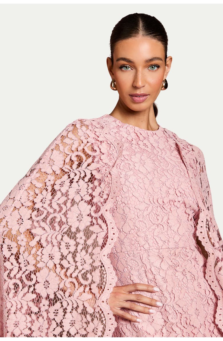 Coast Lace Cape Gown, Alternate, color, Blush